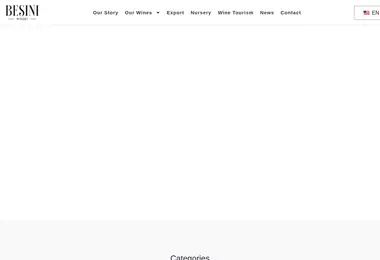 Screenshot of besiniwine.ge