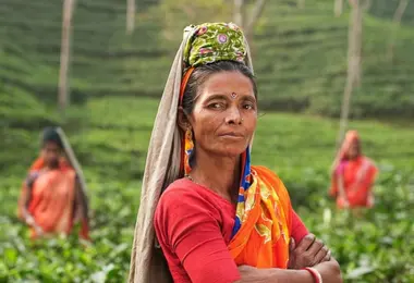 Preview from 07.12.2025