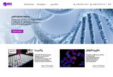 Screenshot of bgs.ge