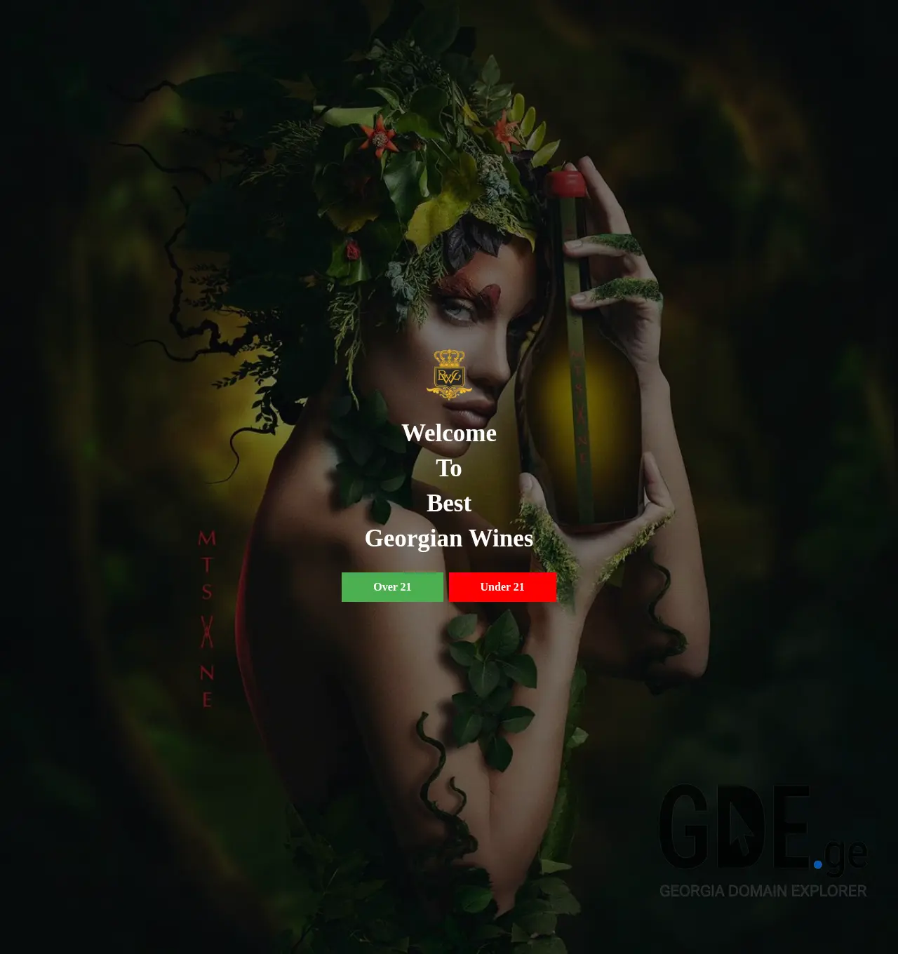 Screenshot of the site bgw.com.ge at 2025-11-30