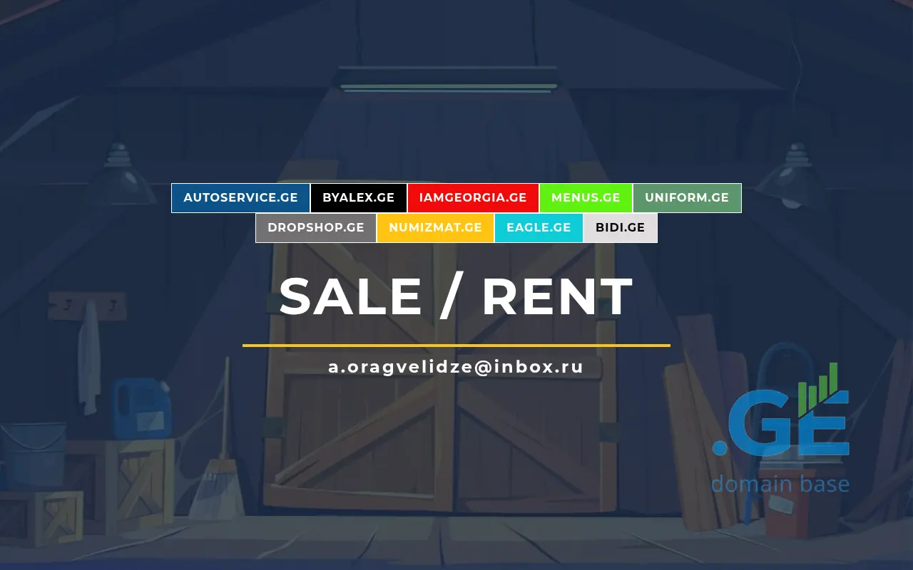 Screenshot of the site bidi.ge