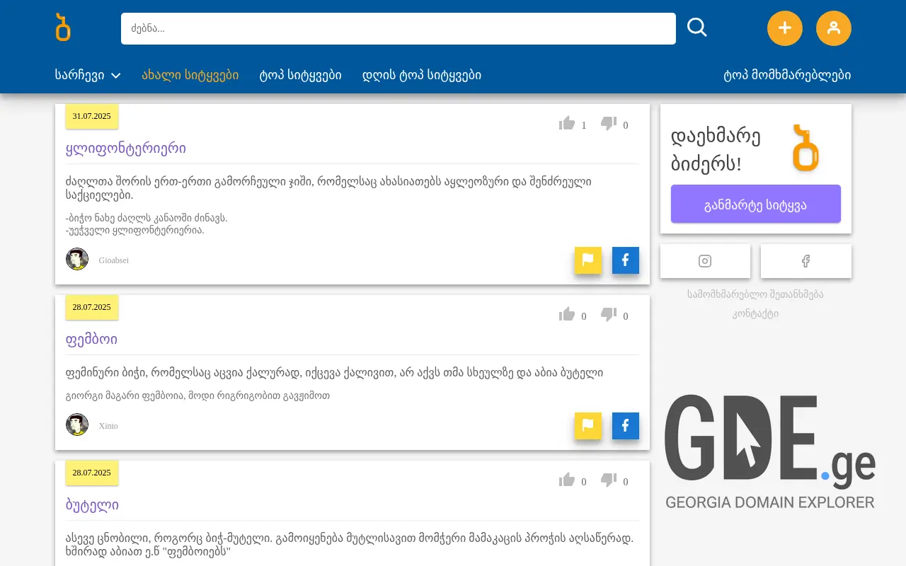 Screenshot of the site bidzer.ge at 2025-11-28