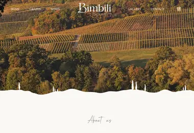 Screenshot of bimbili.ge