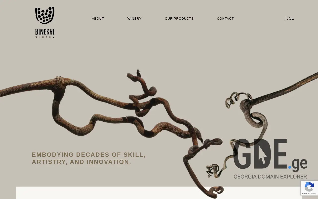 Screenshot of the site binekhi.ge at 2025-11-28