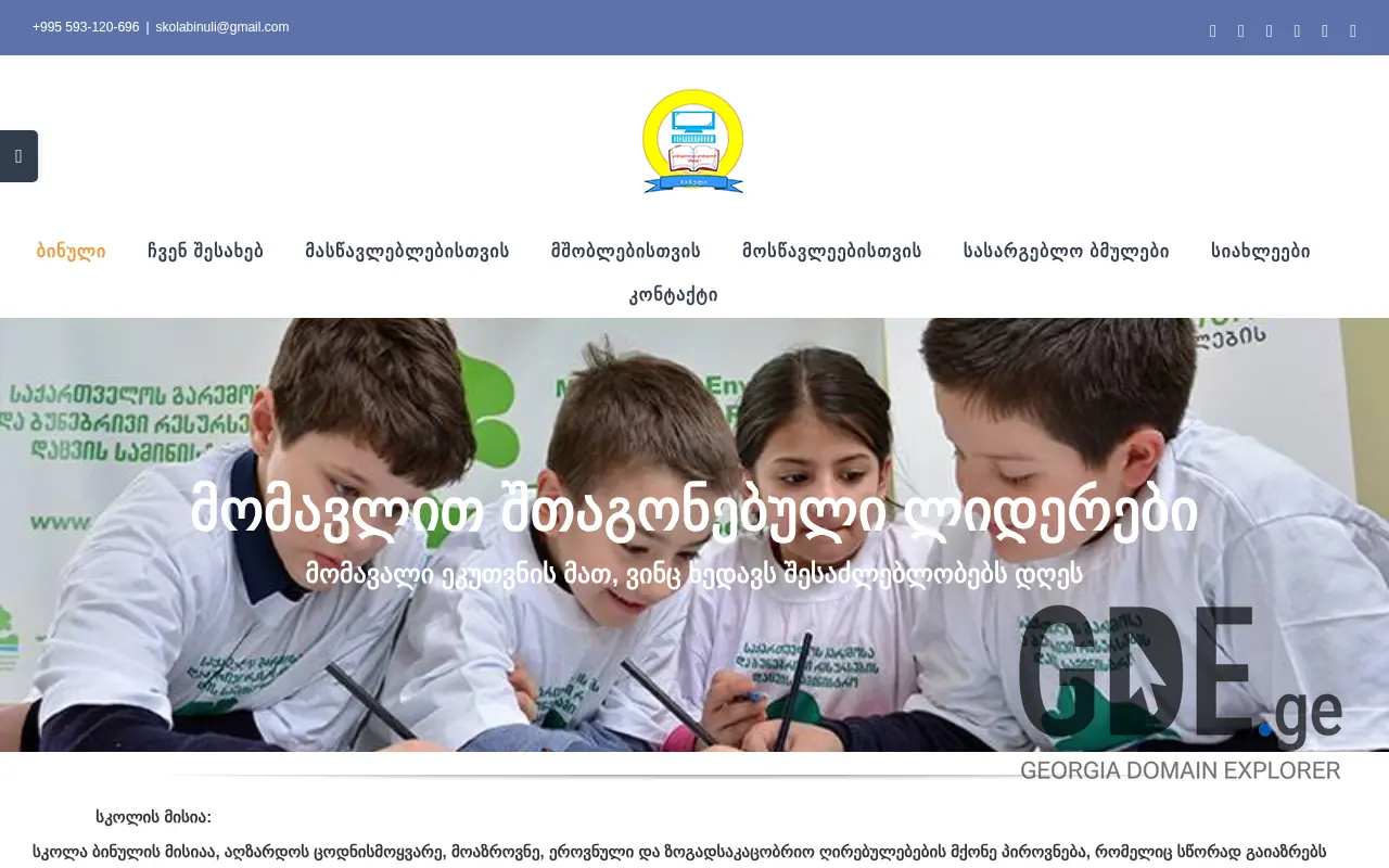 Screenshot of the site binuli.edu.ge at 2025-11-28