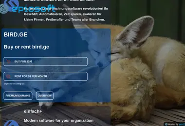 Скриншот bird.ge