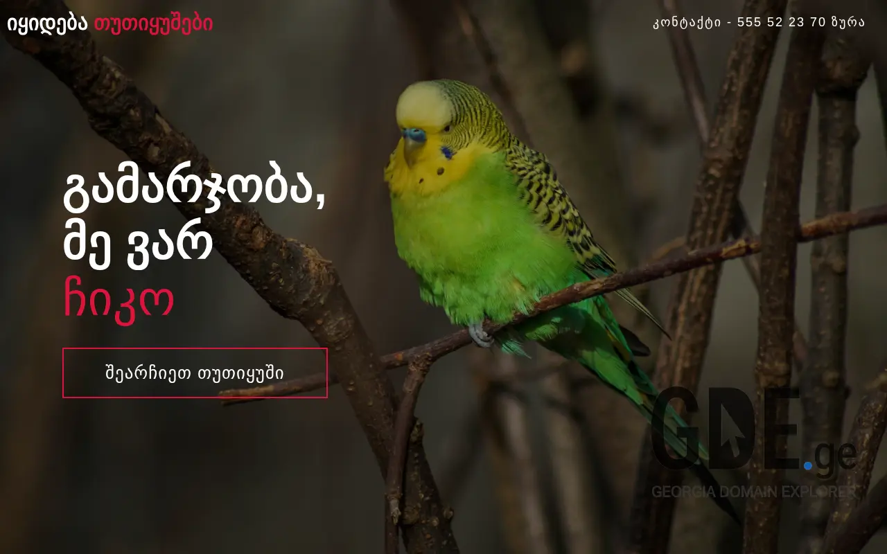 Screenshot of the site birds.ge at 2025-11-28