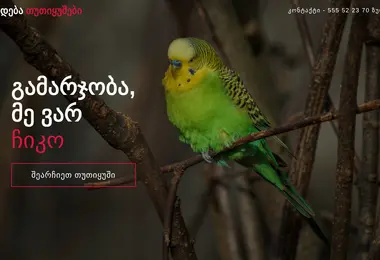 birds.ge-ის ეკრანის სურათი