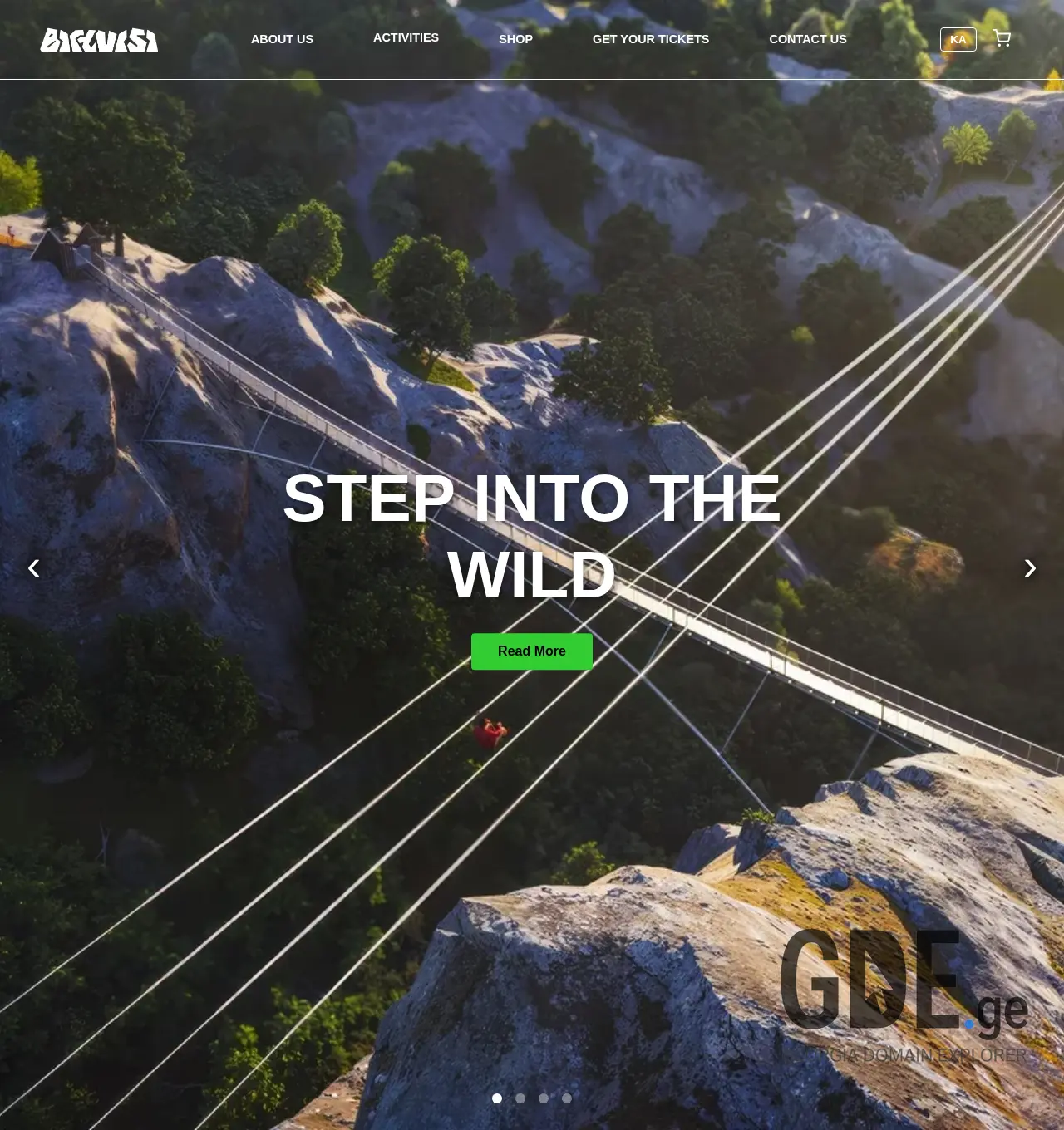 Screenshot of the site birtvisi.ge at 2025-11-30