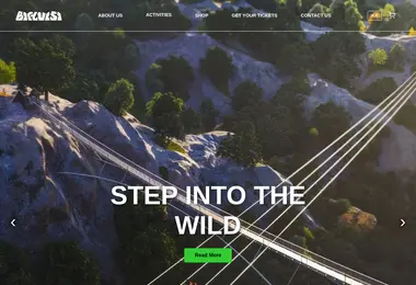 Screenshot of birtvisi.ge