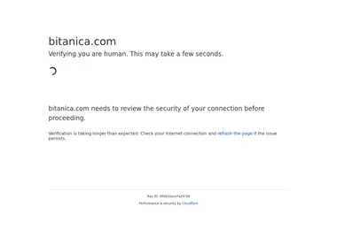 Screenshot of bitanica.ge