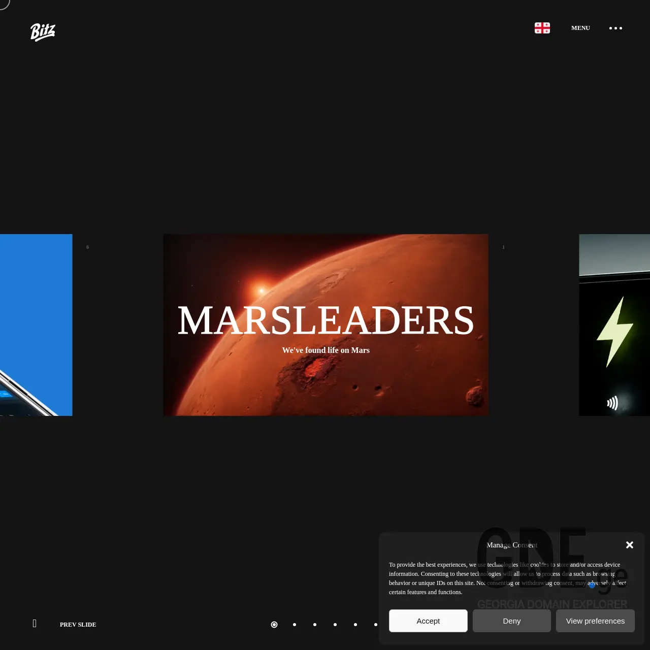Screenshot of the site bitz.ge at 2025-12-08