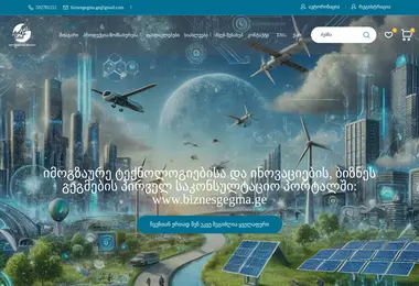 Скриншот biznesgegma.ge