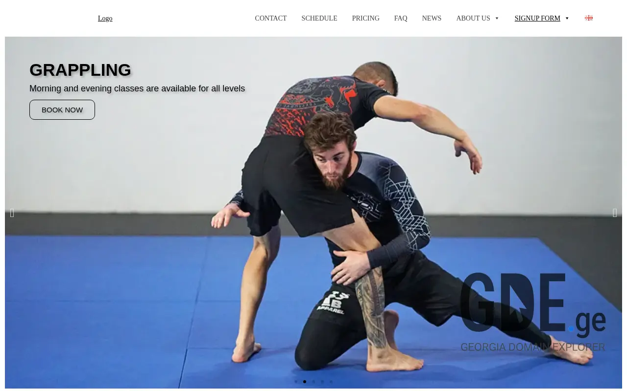 Screenshot of the site bjj.ge at 2025-11-28