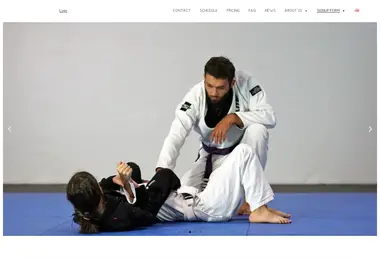 Скриншот bjj.ge
