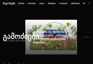 Screenshot of blackbook.ge