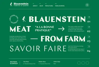 Screenshot of blauenstein.ge