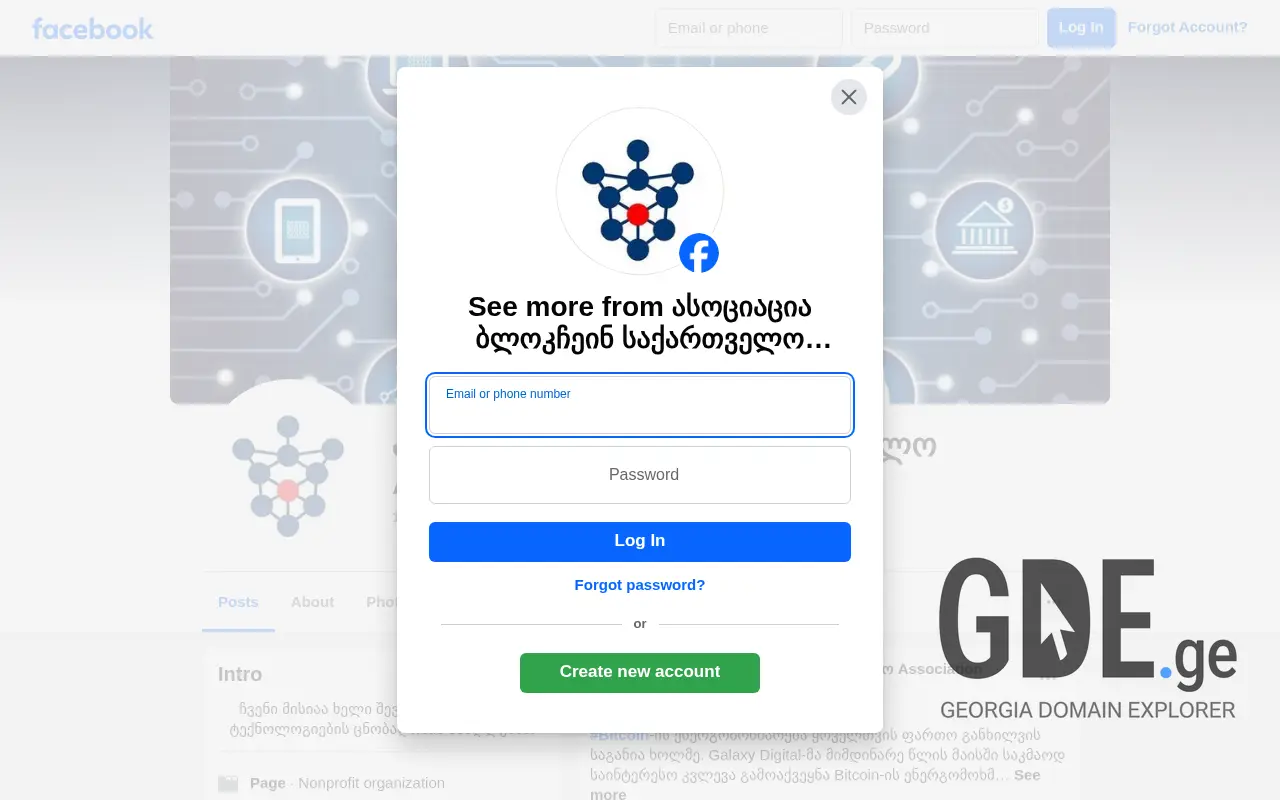 Screenshot of the site blockchaingeorgia.ge at 2025-11-28