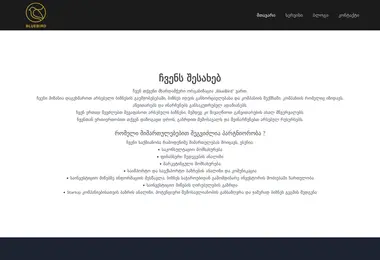 Скриншот blue-bird.ge