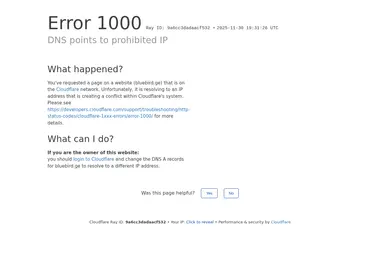 Скриншот bluebird.ge