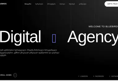 Скриншот bluebirds.ge
