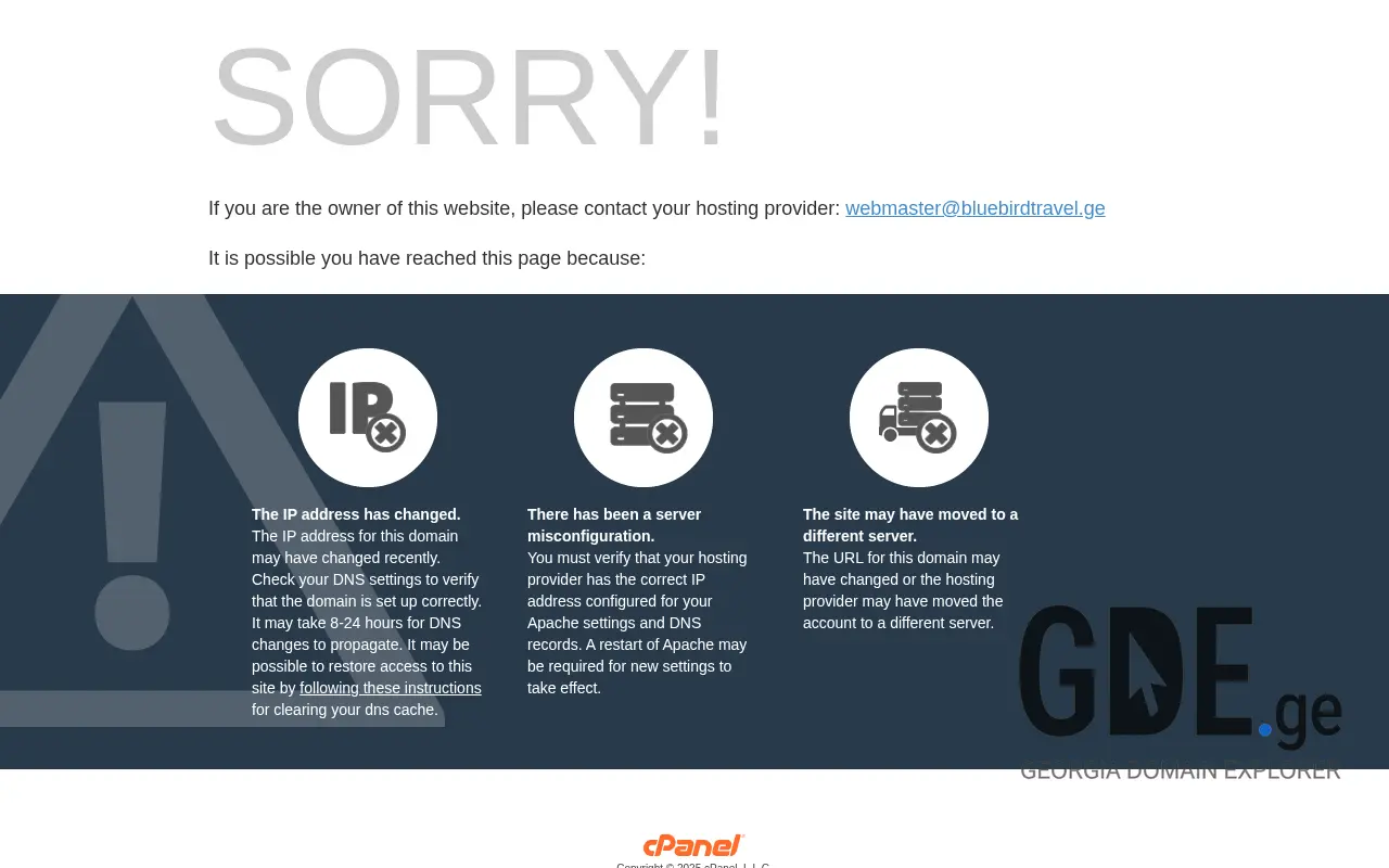 Screenshot of the site bluebirdtravel.ge at 2025-11-28