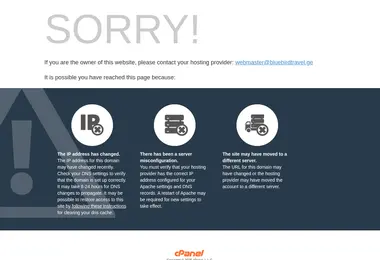 Screenshot of bluebirdtravel.ge