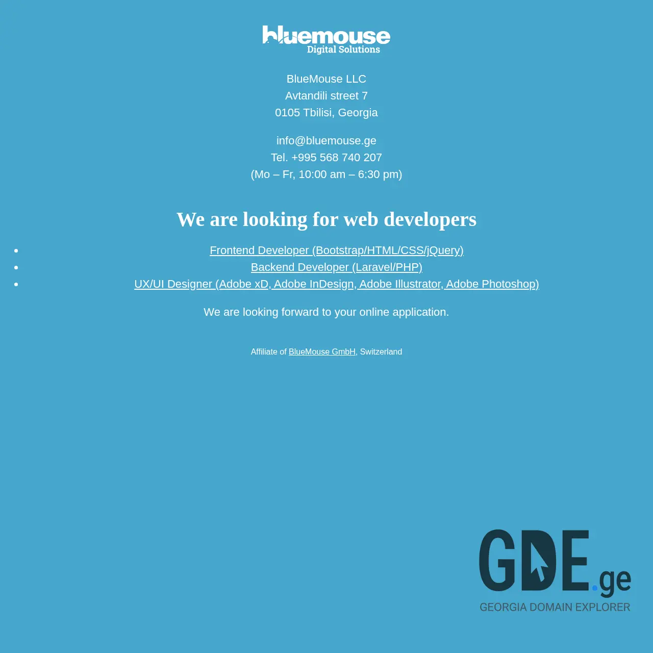 Screenshot of the site bluemouse.ge at 2025-12-08