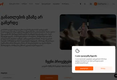 Screenshot of boe.ge