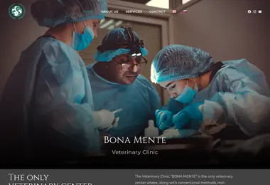 bona-mente.ge-ის ეკრანის სურათი