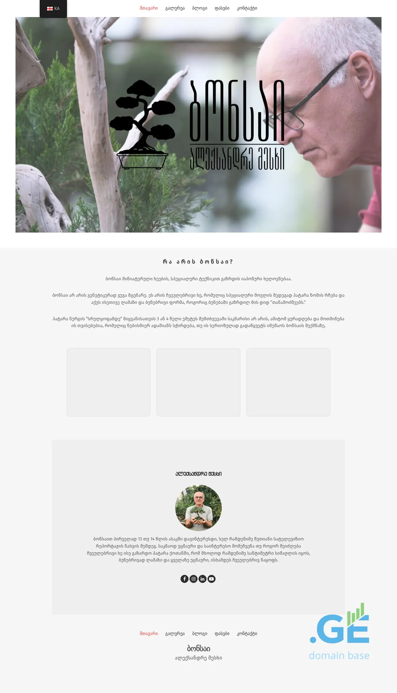 Screenshot of the site bonsai.ge