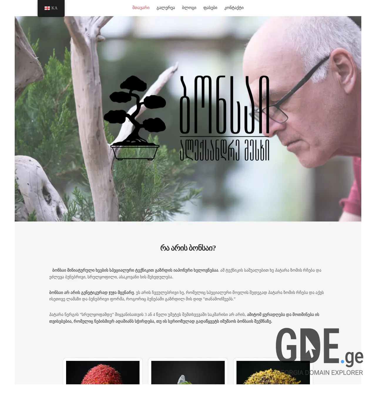 Screenshot of the site bonsai.ge at 2025-11-30