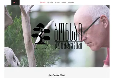 Screenshot of bonsai.ge