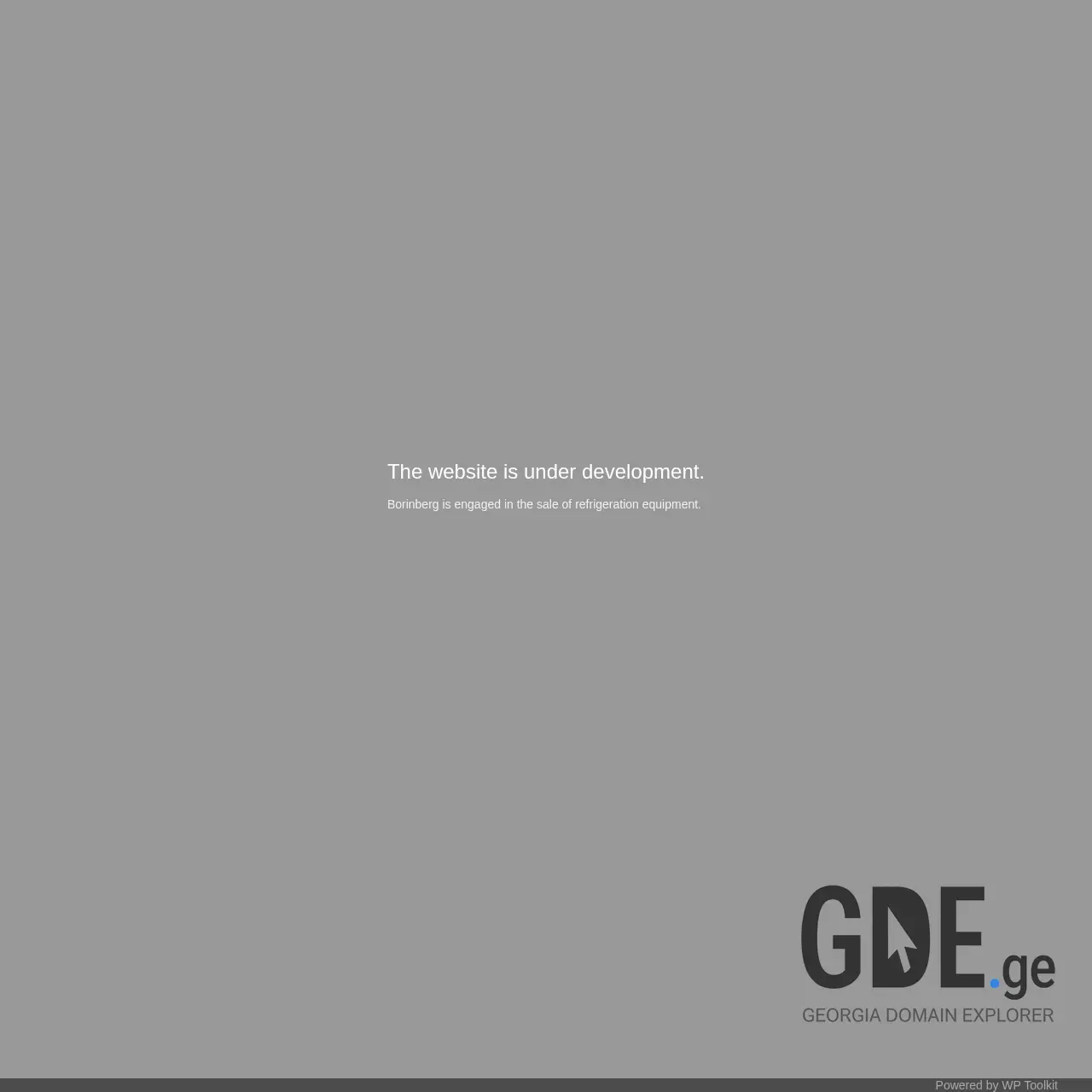 Screenshot of the site borinberg.ge at 2025-12-07