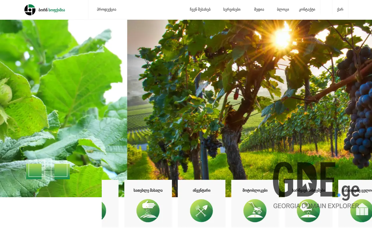 Screenshot of the site bornagro.ge at 2025-11-28