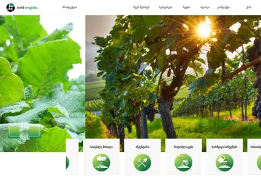 bornagro.ge-ის ეკრანის სურათი