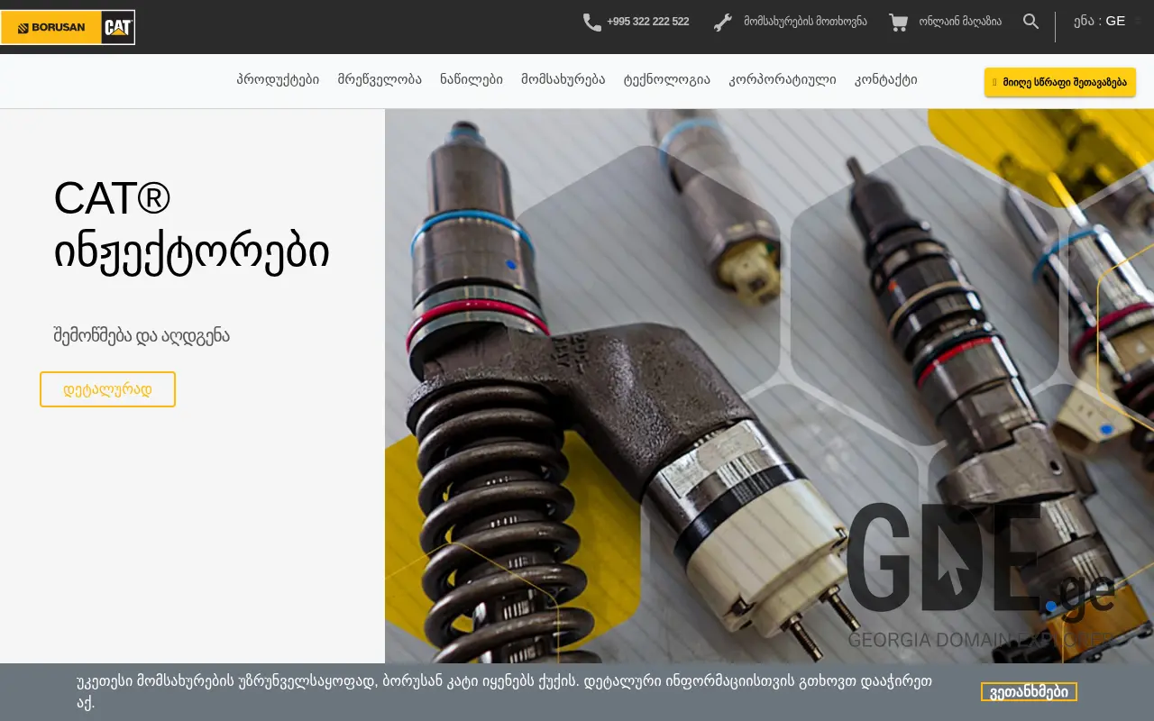 Screenshot of the site borusancat.ge at 2025-11-28