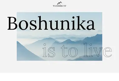 Скриншот boshunika.ge