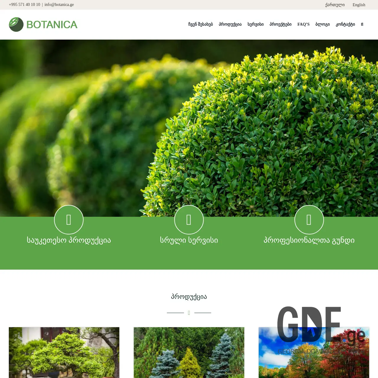 Screenshot of the site botanica.ge at 2025-12-20