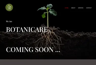 botanicare.ge-ის ეკრანის სურათი