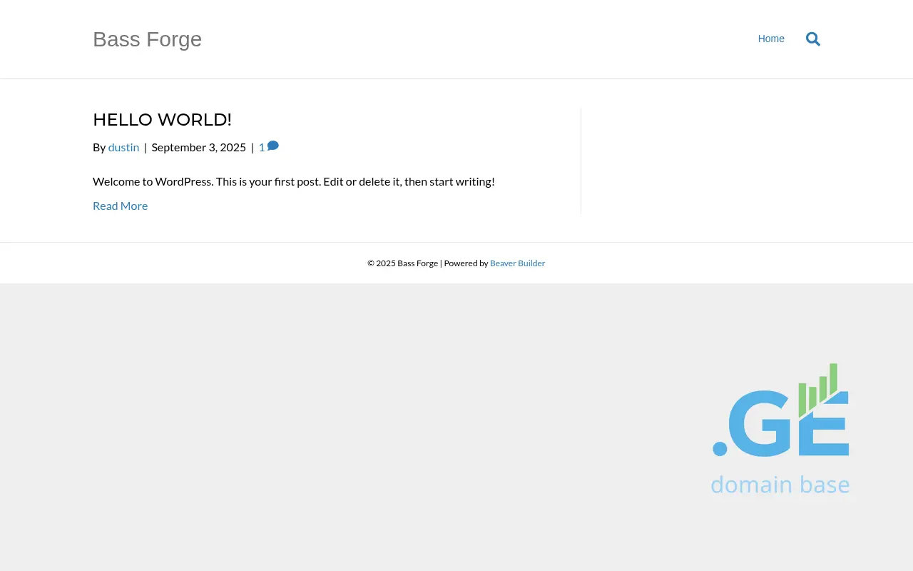 Screenshot of the site bsf.ge at 2025-10-04