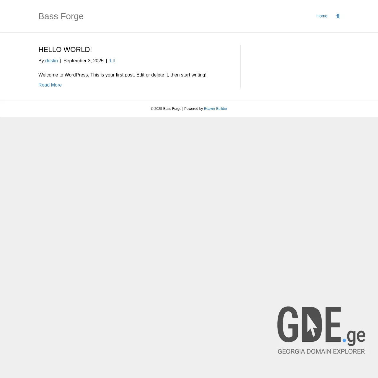 Screenshot of the site bsf.ge at 2025-12-07