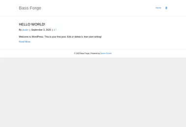 Screenshot of bsf.ge