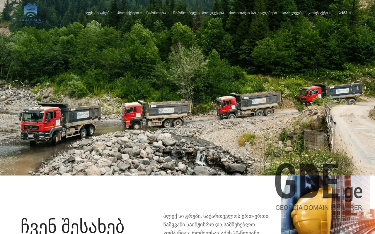 Screenshot of the site bsg.com.ge at 2025-11-28