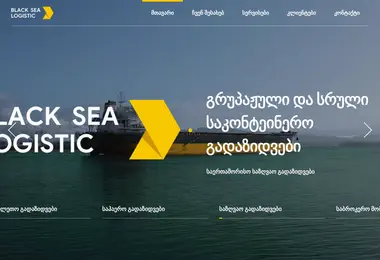 Скриншот bsl.ge