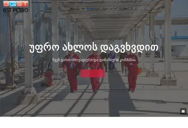 Screenshot of bstpetro.ge