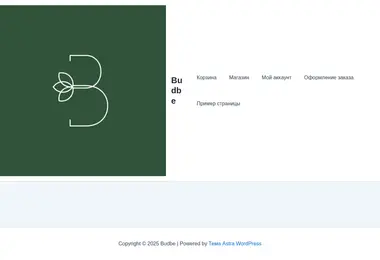 Screenshot of budbeflowers.ge
