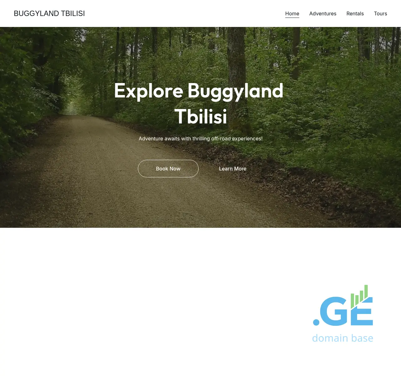 Screenshot of the site buggy.ge at 2025-11-02