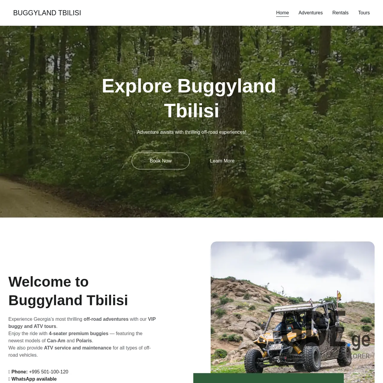 Screenshot of the site buggy.ge at 2025-12-15