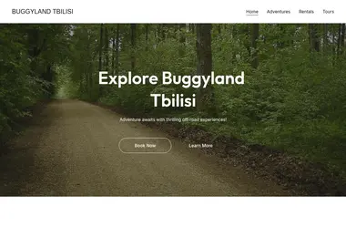 Screenshot of buggy.ge